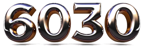 6030 logo